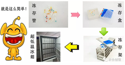 樣本凍存解決方案之凍存架、凍存盒、凍存管