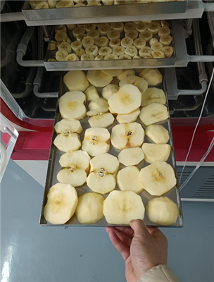 永合創(chuàng)信實(shí)驗室凍干機(jī)應(yīng)用于食品凍干科研開發(fā)!