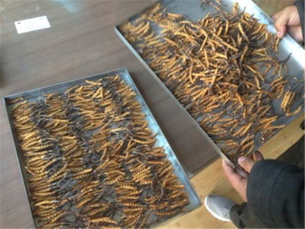 制藥凍干機(jī)中的加熱系統(tǒng)的作用是什么？