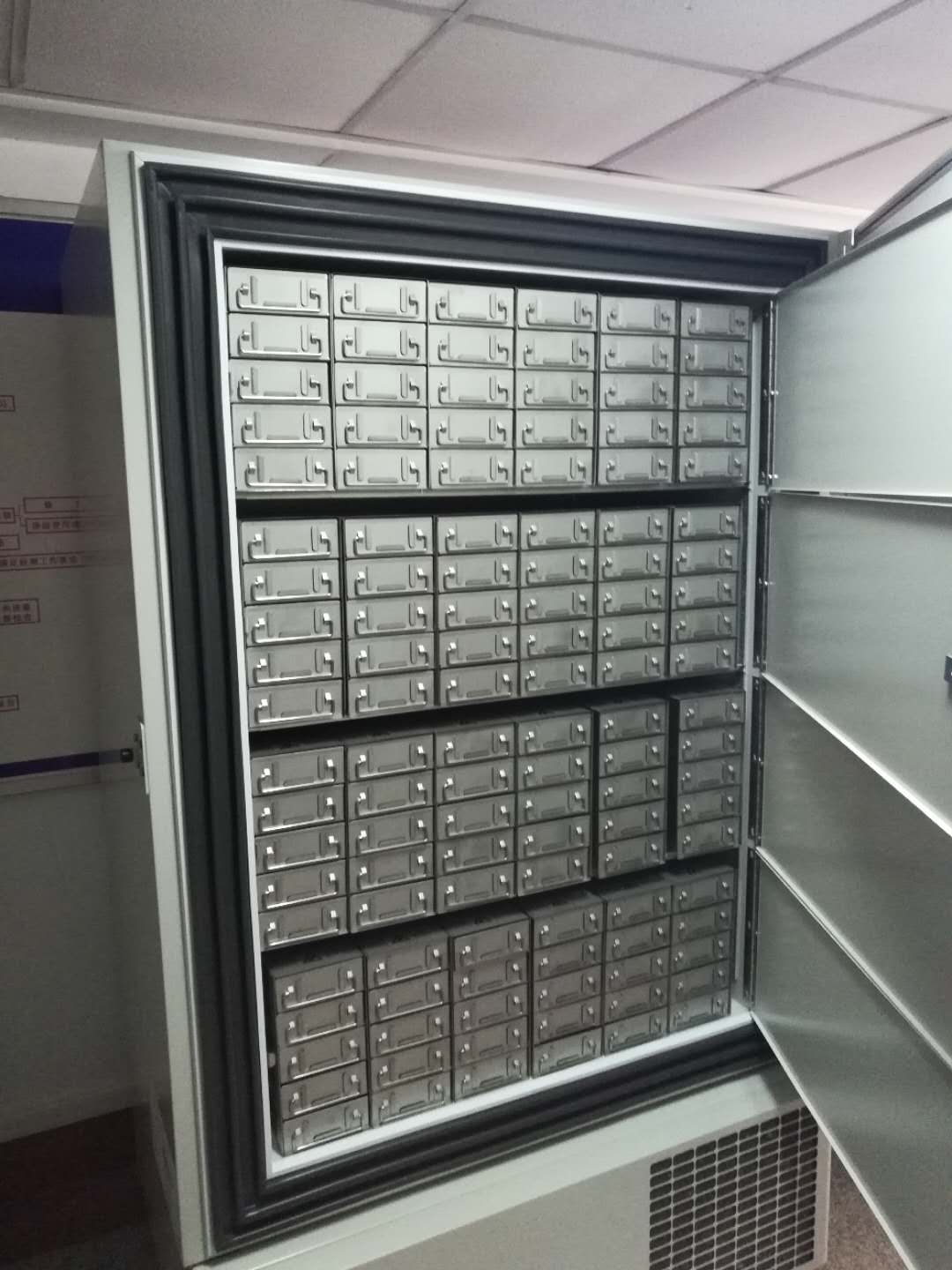 509189089212254324.jpg